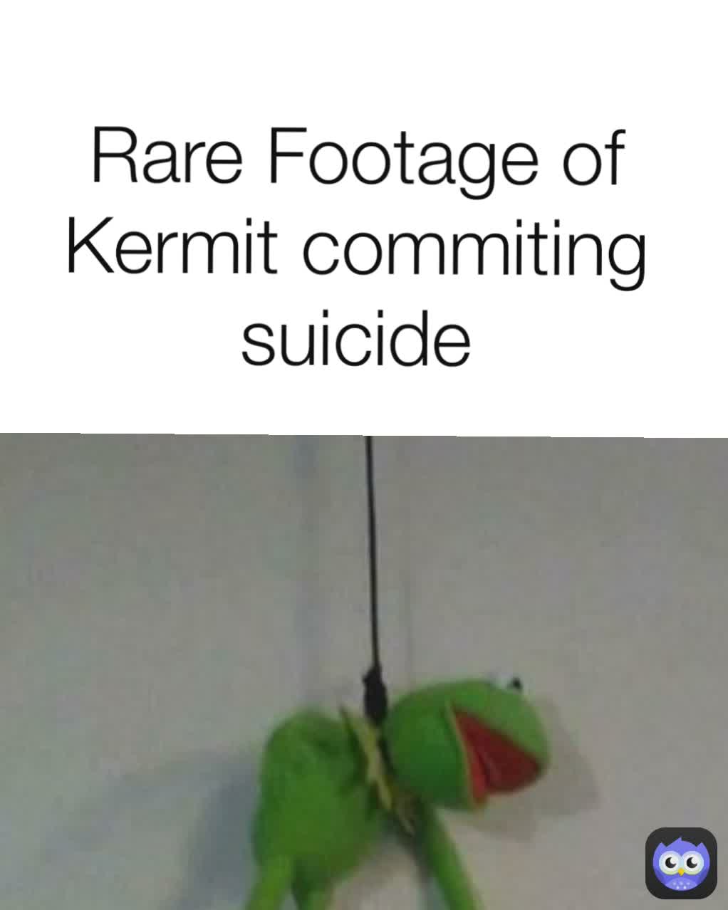Rare Footage of Kermit commiting suicide