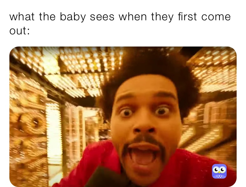 what the baby sees when they first come out:
