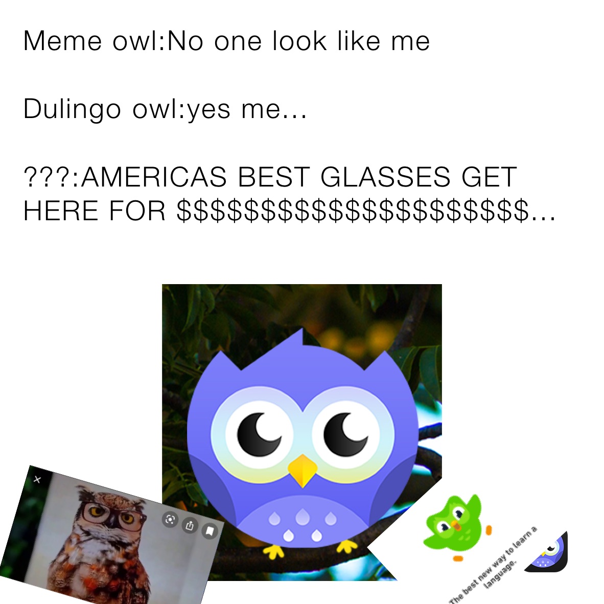 Meme owl:No one look like me

Dulingo owl:yes me...

???:AMERICAS BEST GLASSES GET HERE FOR $$$$$$$$$$$$$$$$$$$$$...
