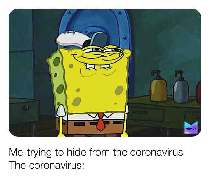 Meme shared by @kittymeow33