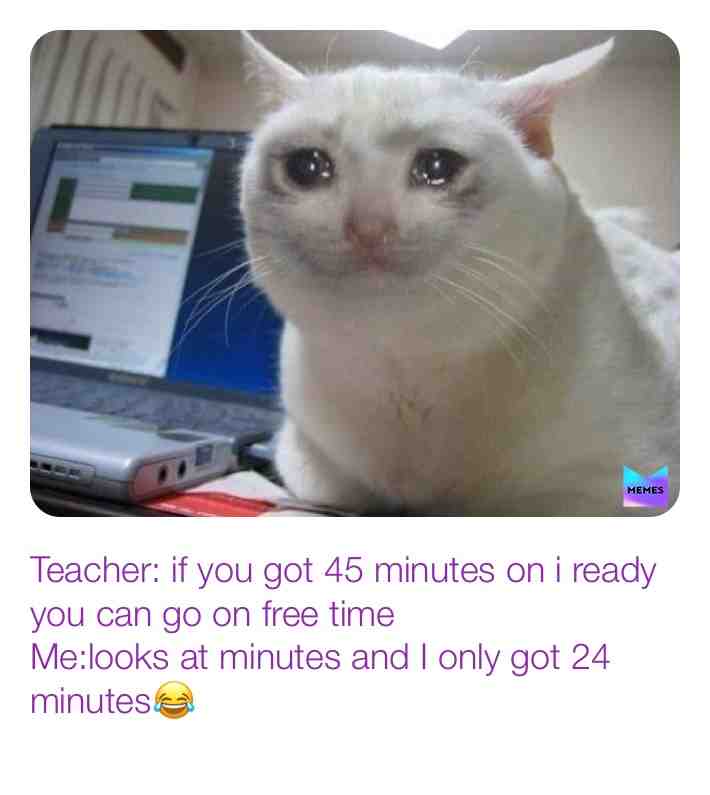 #schoolmemes #catsarefunny #funny #laughs
