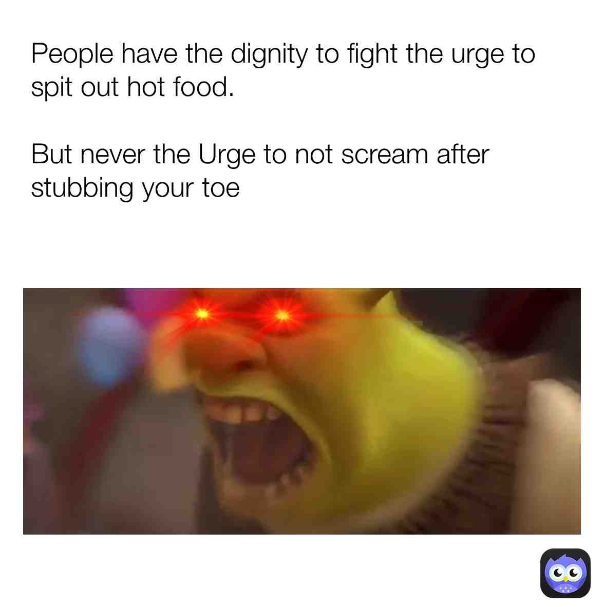 Shrek knows more pain then we do