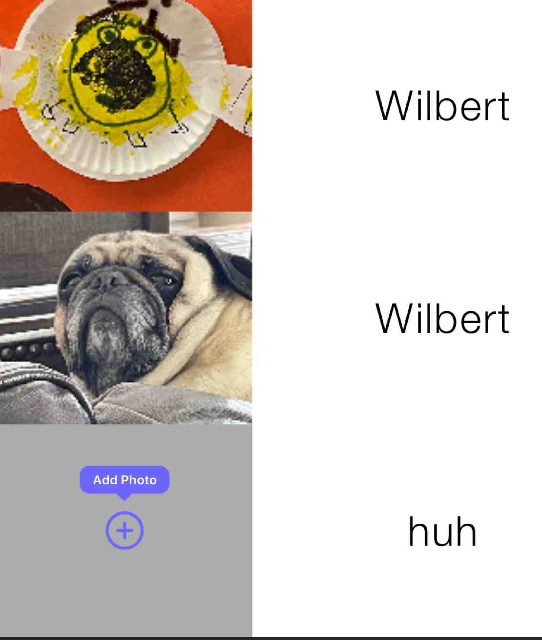 # #huh  # #pug  # #wilbert