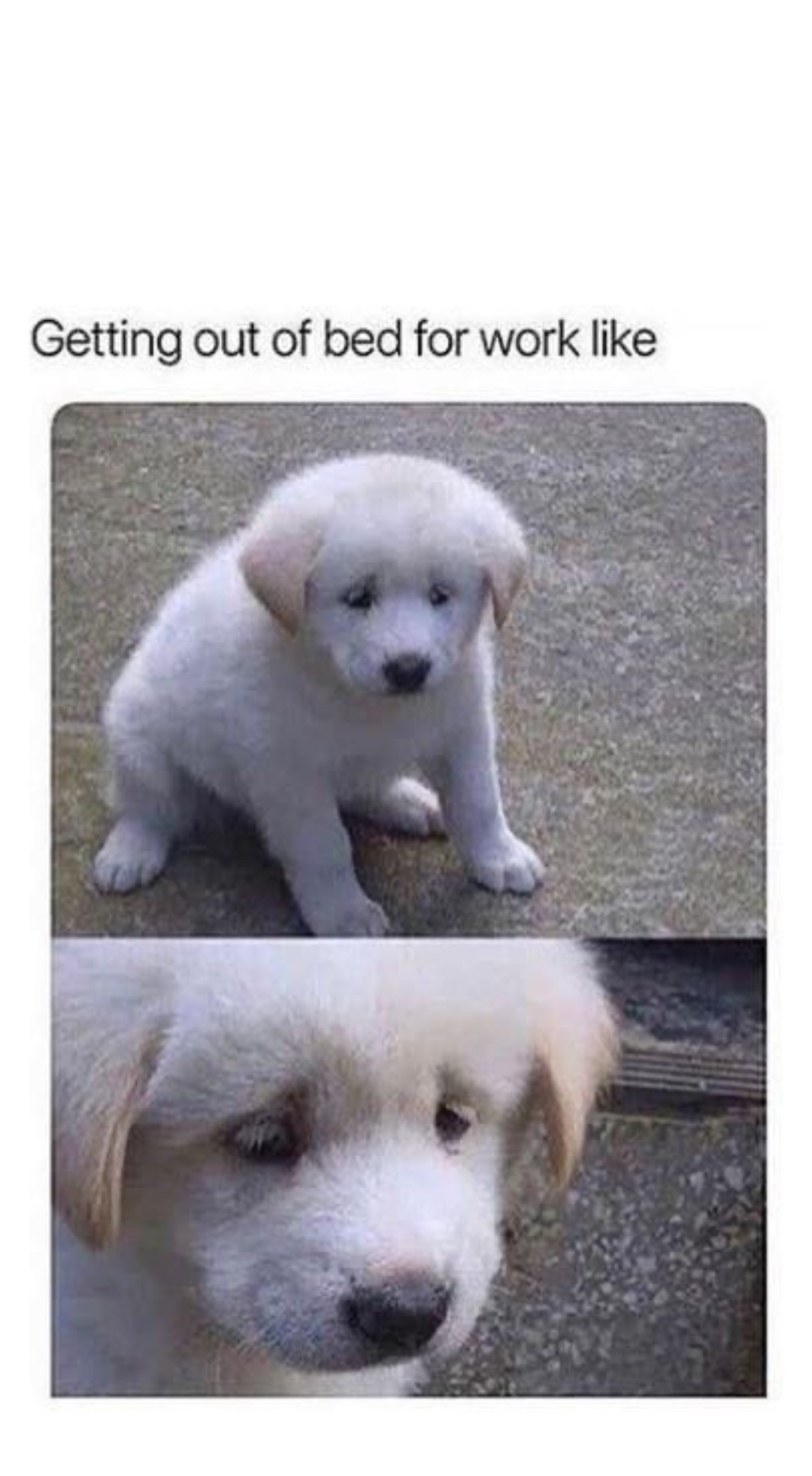 Double tap to edit