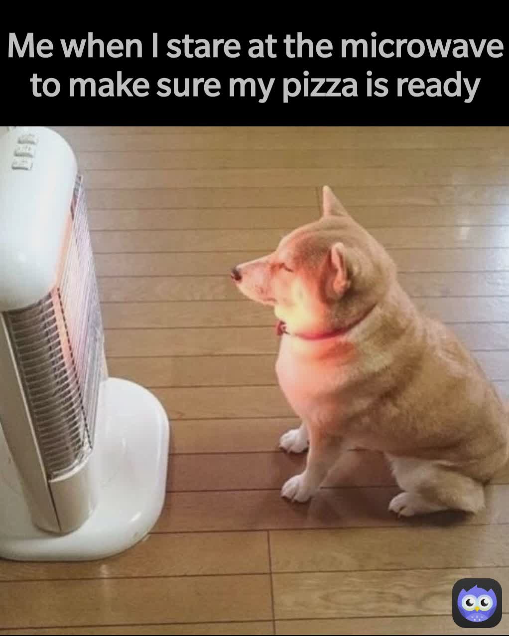 Me when I stare at the microwave to make sure my pizza is ready