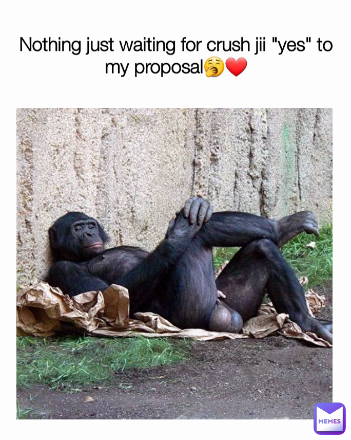 Nothing just waiting for crush jii "yes" to my proposal🥱❤️