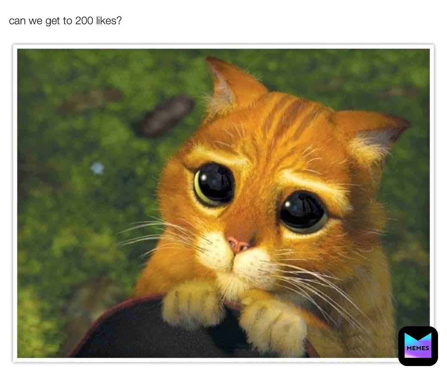 Pleaseeeeeee 200 likes