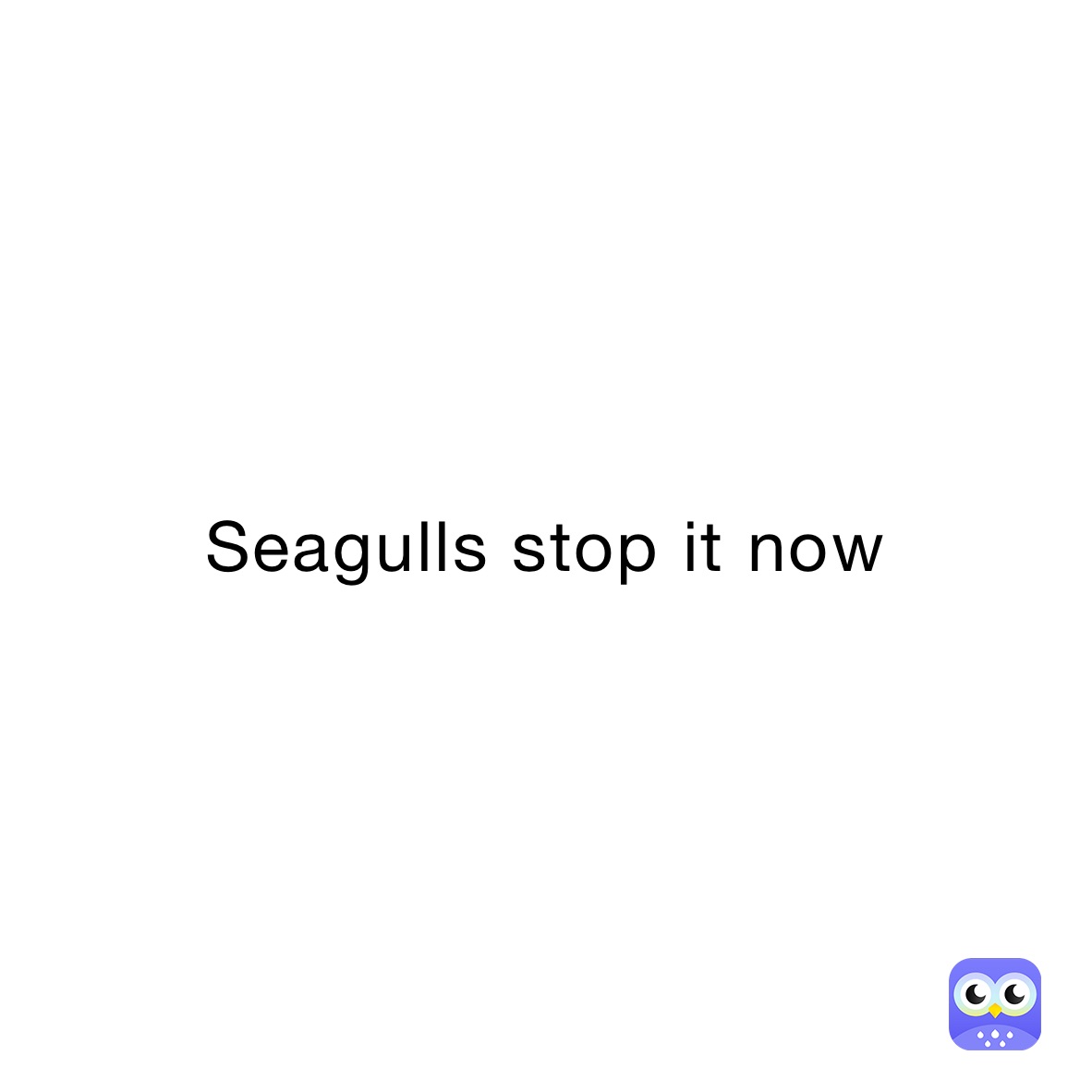 Seagulls stop it now