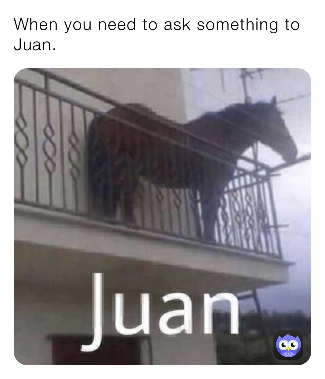 When you need to ask something to Juan.