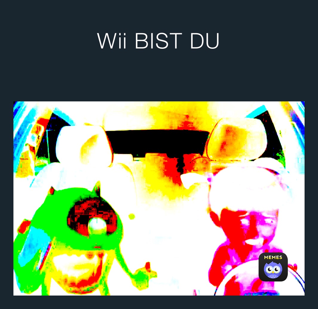 Wii BIST DU
