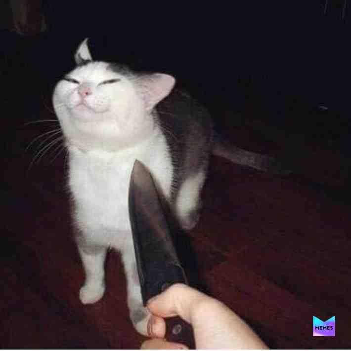 Meme shared by @freddys_memez