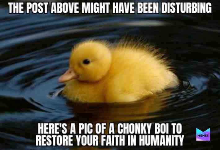 Meme shared by @freddys_memez