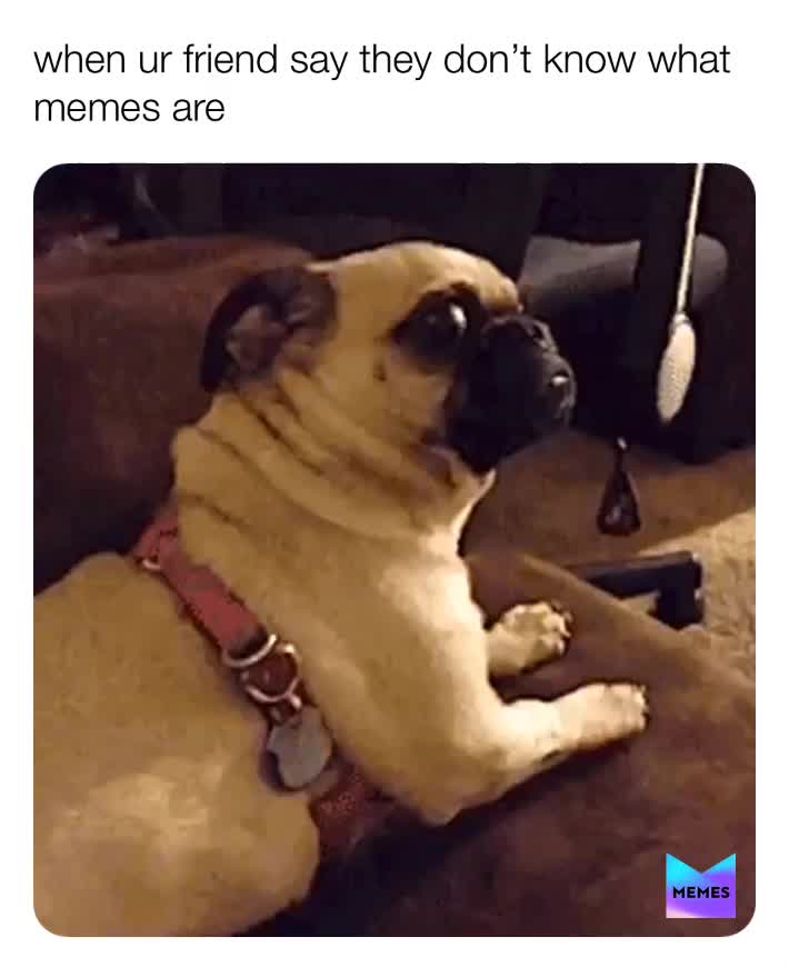 Meme shared by @freddys_memez