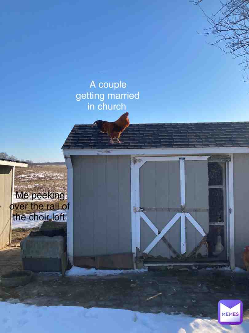 Meme shared by @catsrcool04