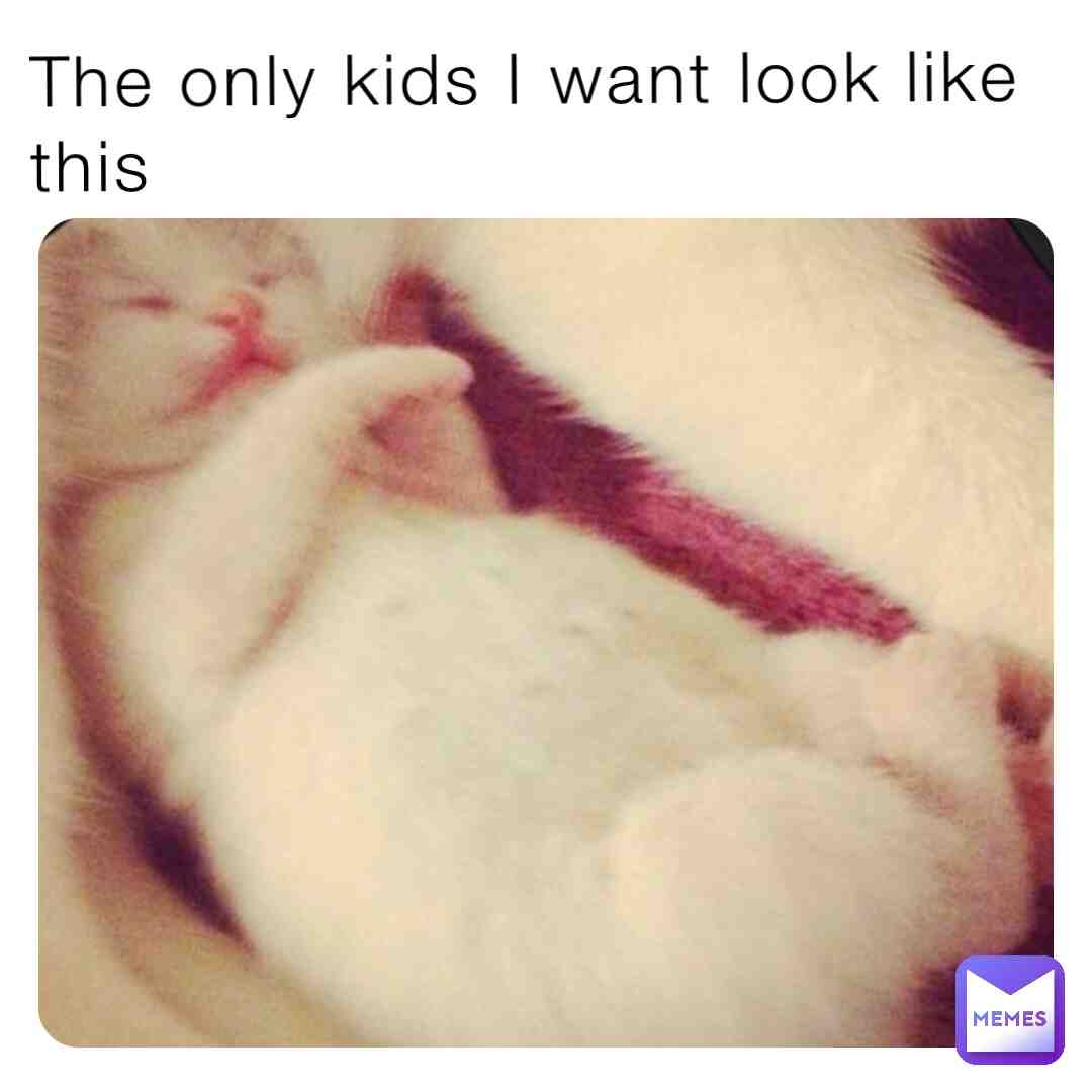 Meme shared by @catsrcool04