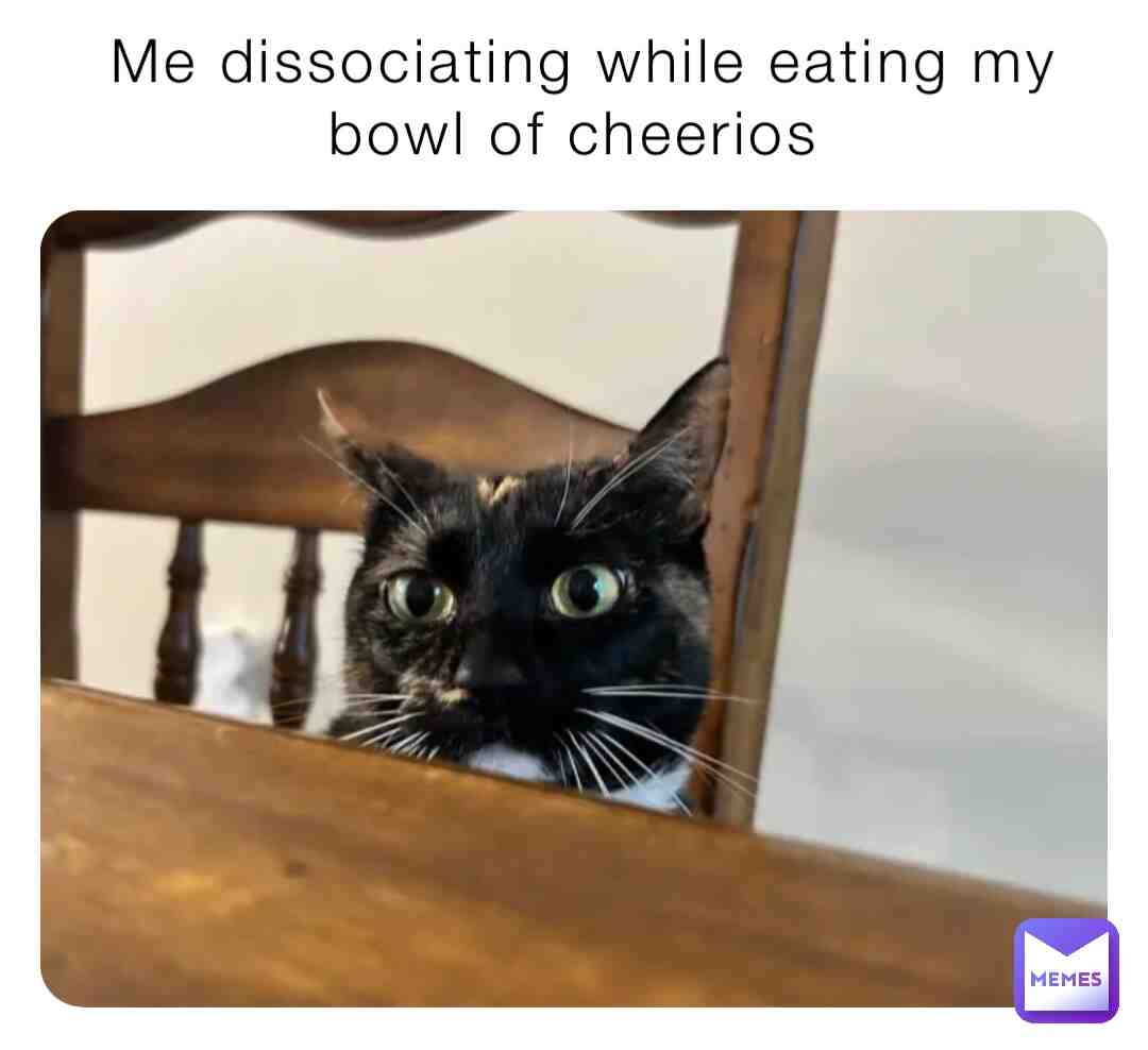 Meme shared by @catsrcool04