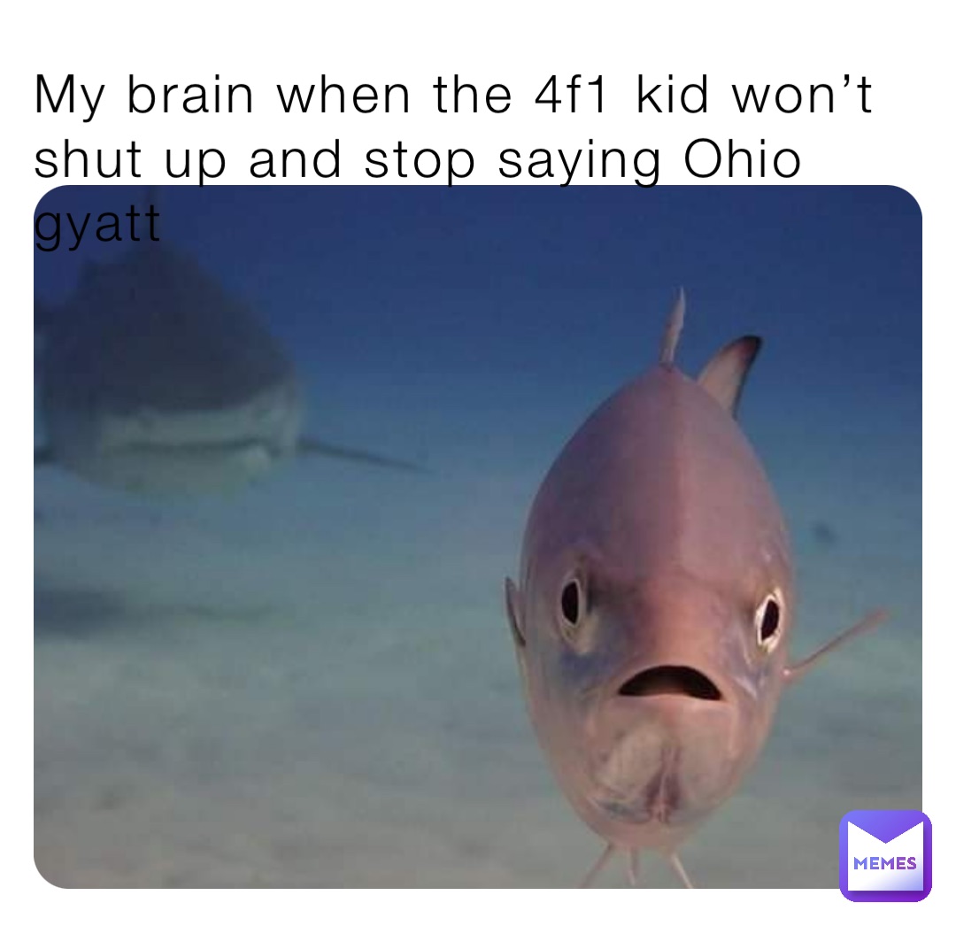 My brain when the 4f1 kid won’t shut up and stop saying Ohio gyatt