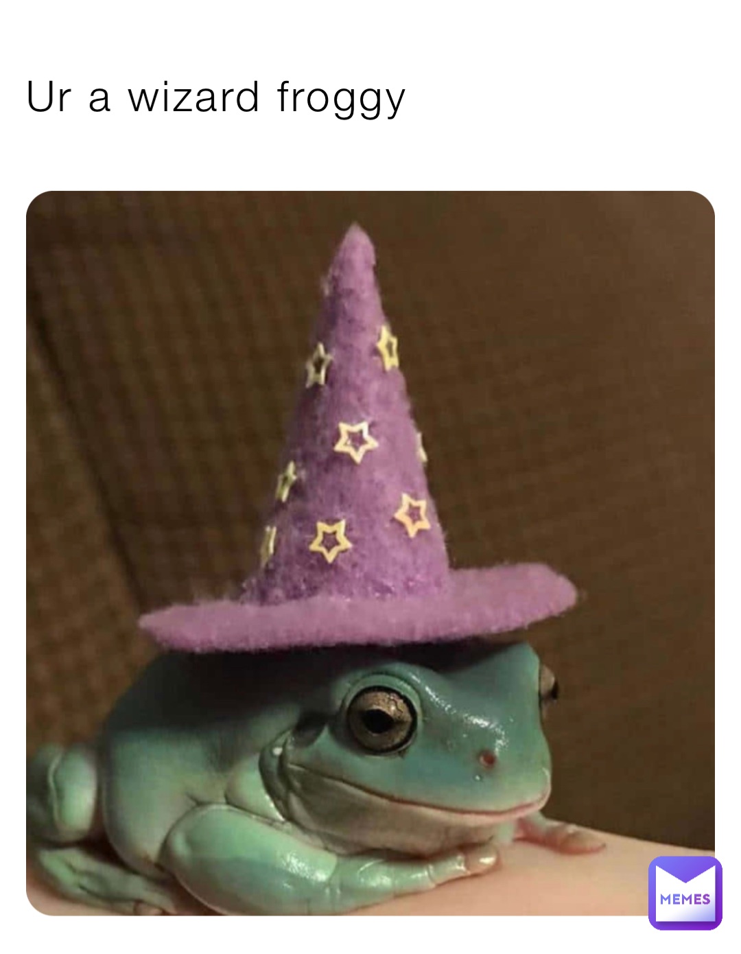 Ur a wizard froggy