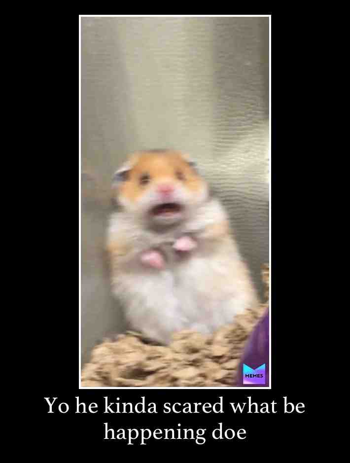 Meme shared by @slytherclaw