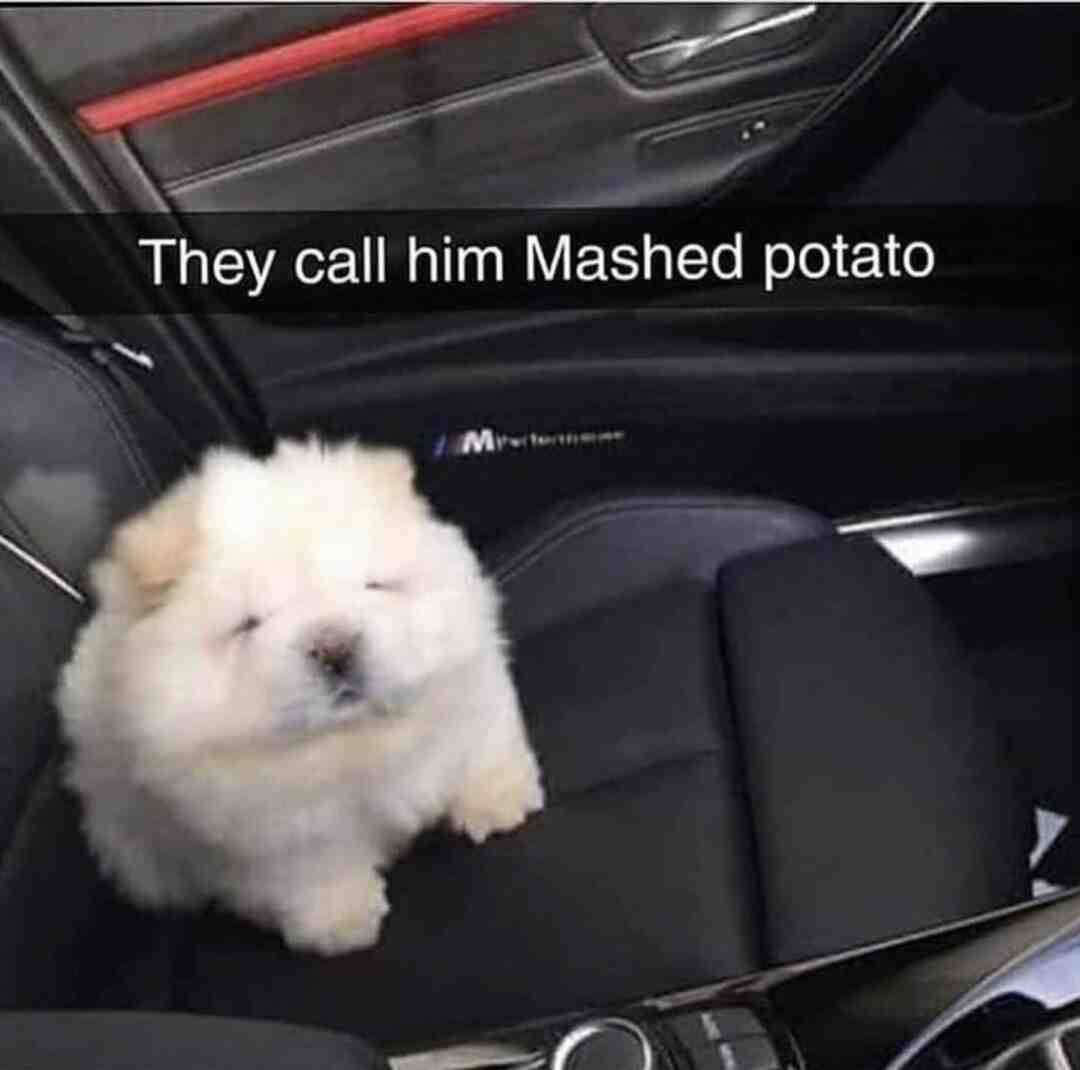 Meme shared by @Nat_cute