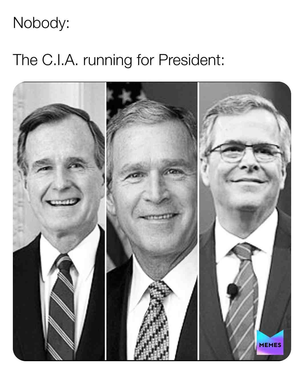 The Bush family 😂 #riggedelections #bushdid911 #memes