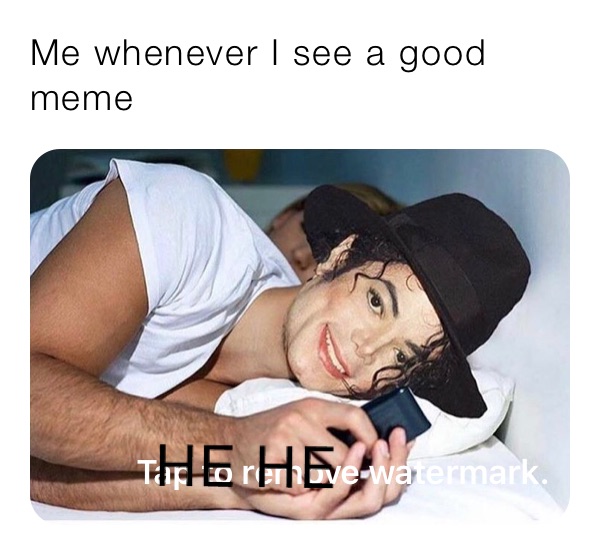 Me whenever I see a good meme