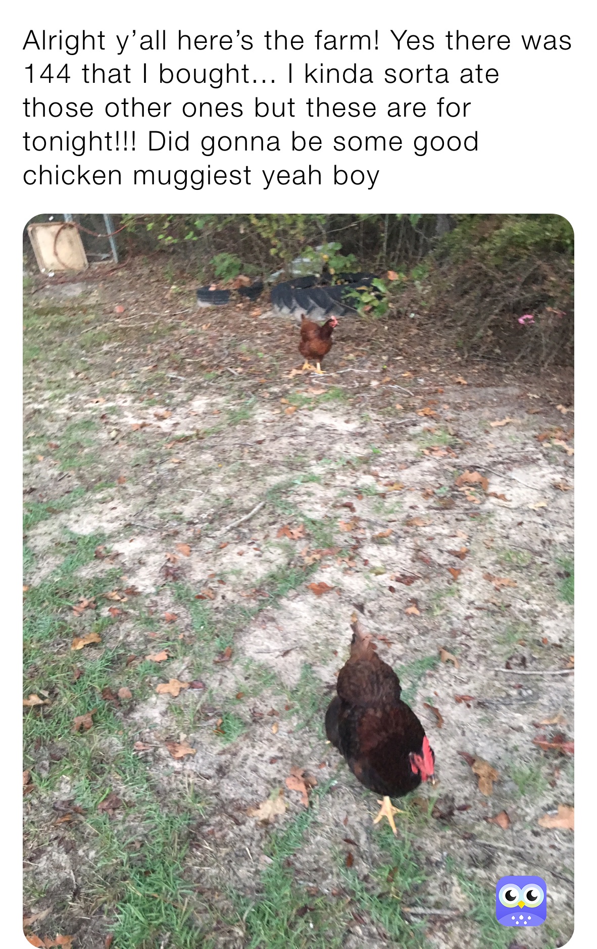 Alright y’all here’s the farm! Yes there was 144 that I bought... I kinda sorta ate those other ones but these are for tonight!!! Did gonna be some good chicken muggiest yeah boy