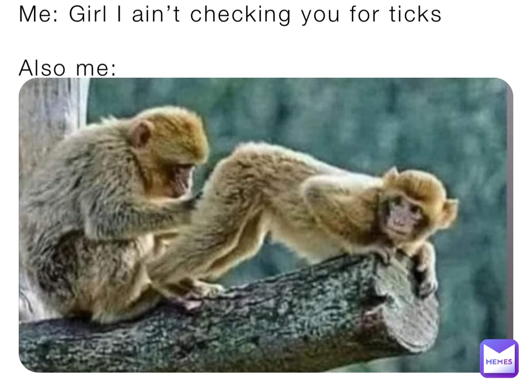 Me: Girl I ain’t checking you for ticks

Also me: