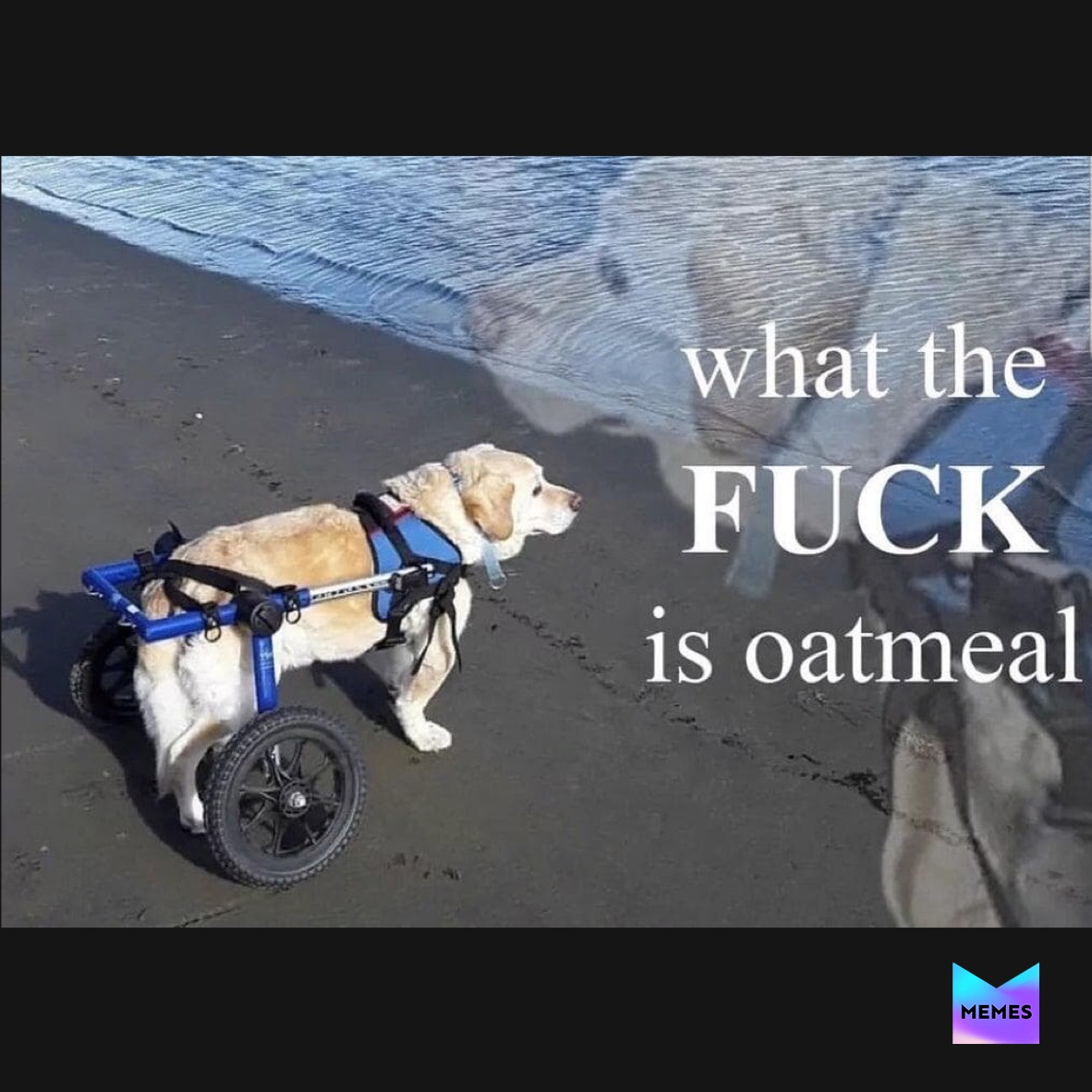 What the fuck is oatmeal