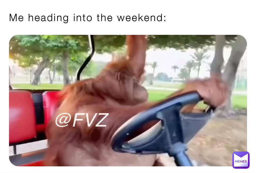 Weekend is almost here  #weekend  #almostfriday  #vibes