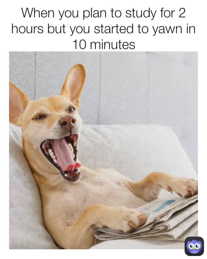 When you plan to study for 2 hours but you started to yawn in 10 minutes