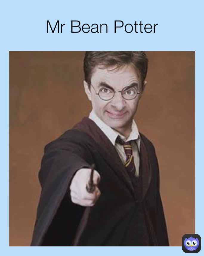 Mr Bean Potter
