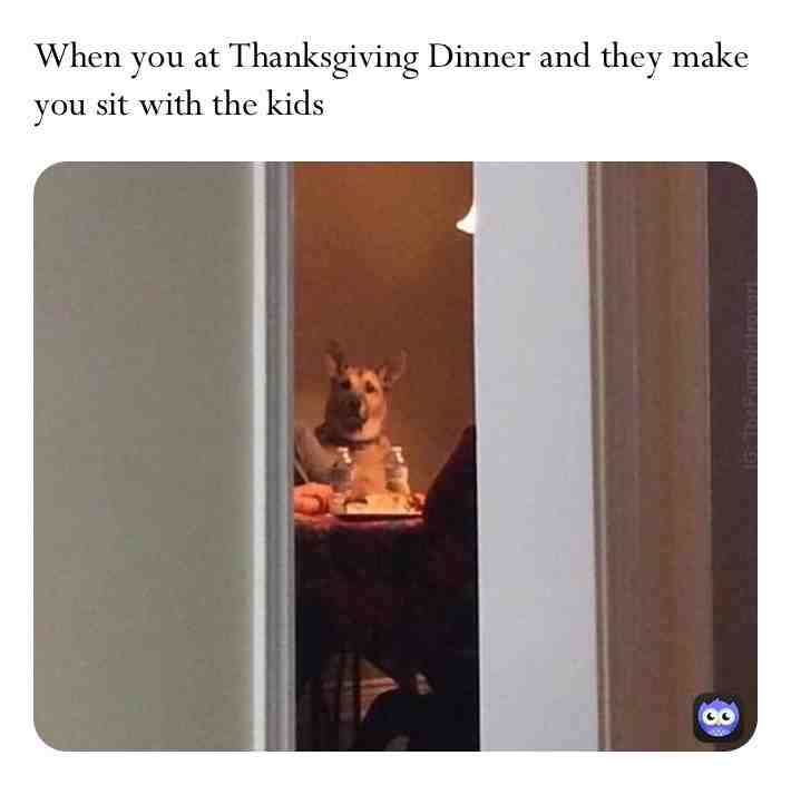 Happy Thanksgiving Everybody