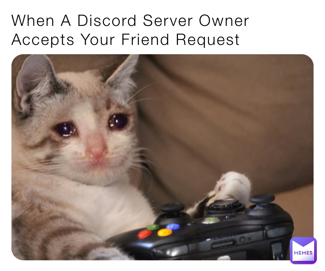When A Discord Server Owner Accepts Your Friend Request