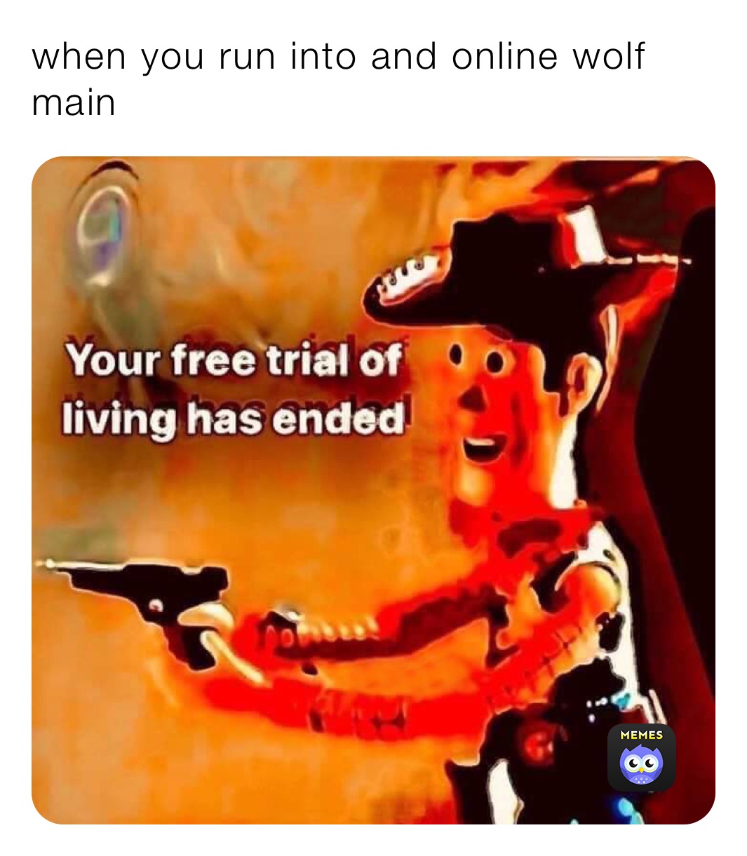 when you run into and online wolf main 