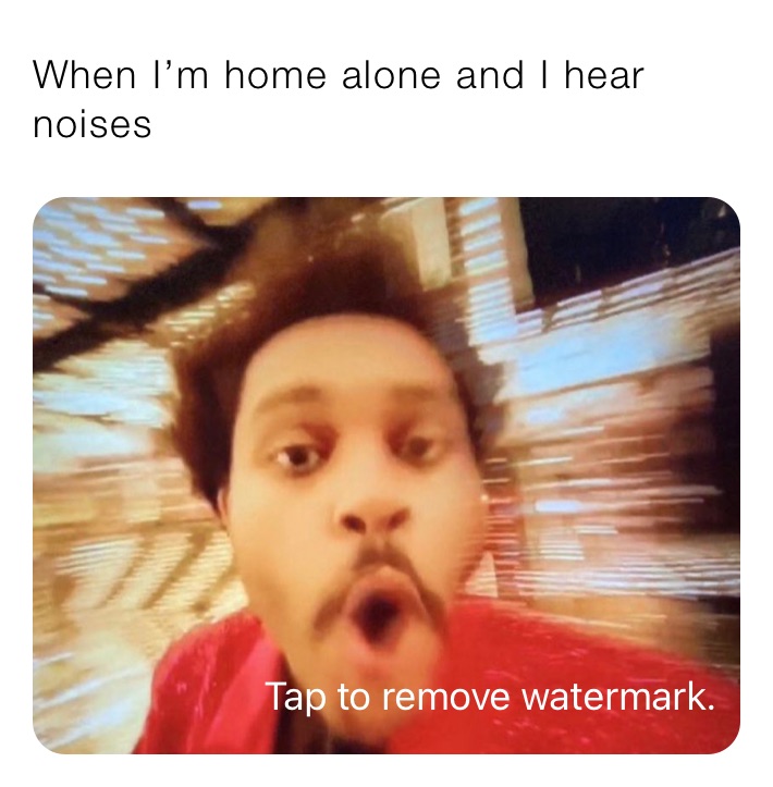 When I’m home alone and I hear noises whatdeheck Memes