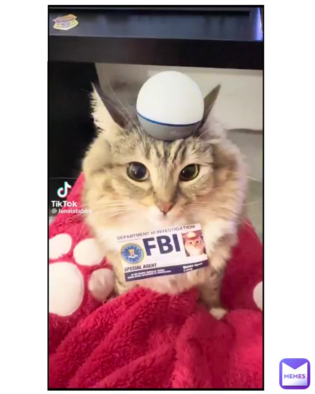 Meme shared by @reallybiglaugh