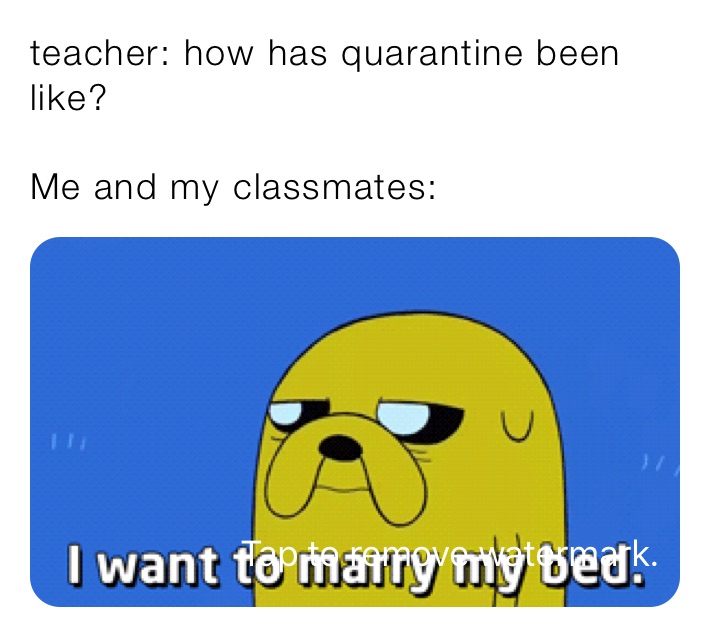 teacher: how has quarantine been like?

Me and my classmates: