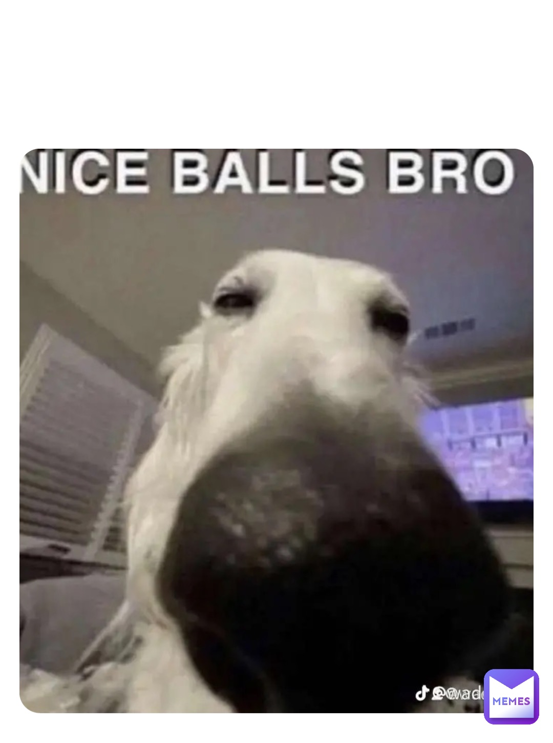 Double tap to edit