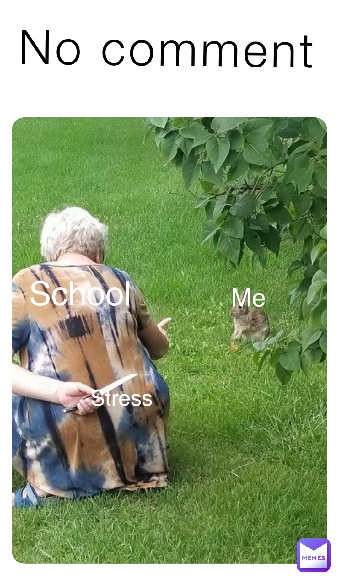 Meme by meme_boy6969