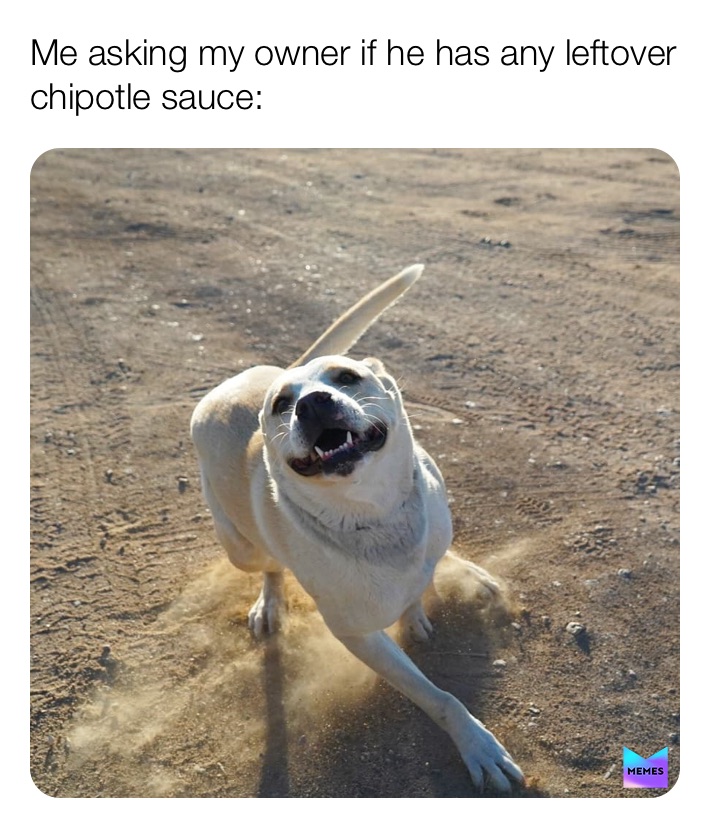 Meme by mikayla_meme