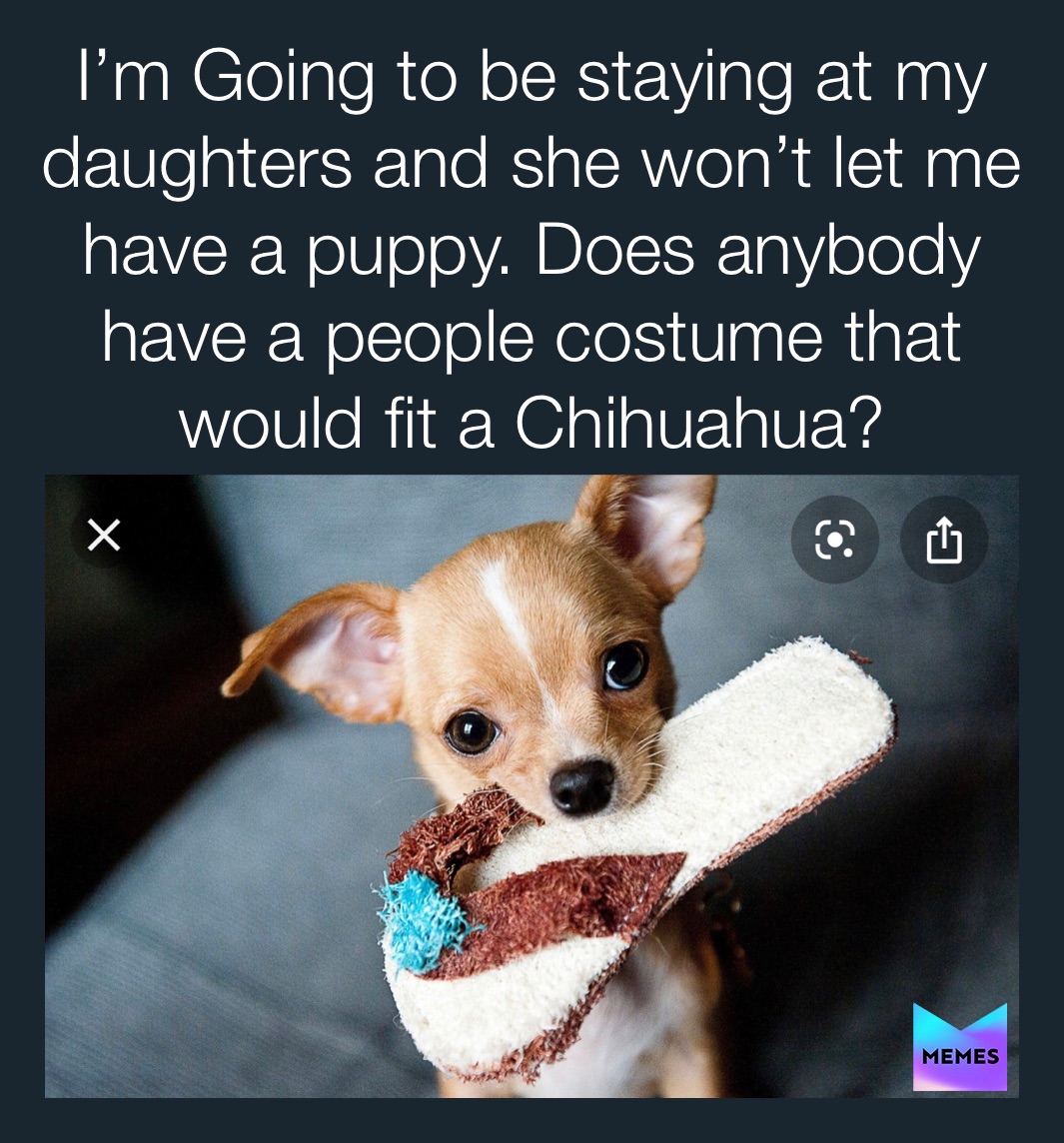 Meme by terrilynnmann