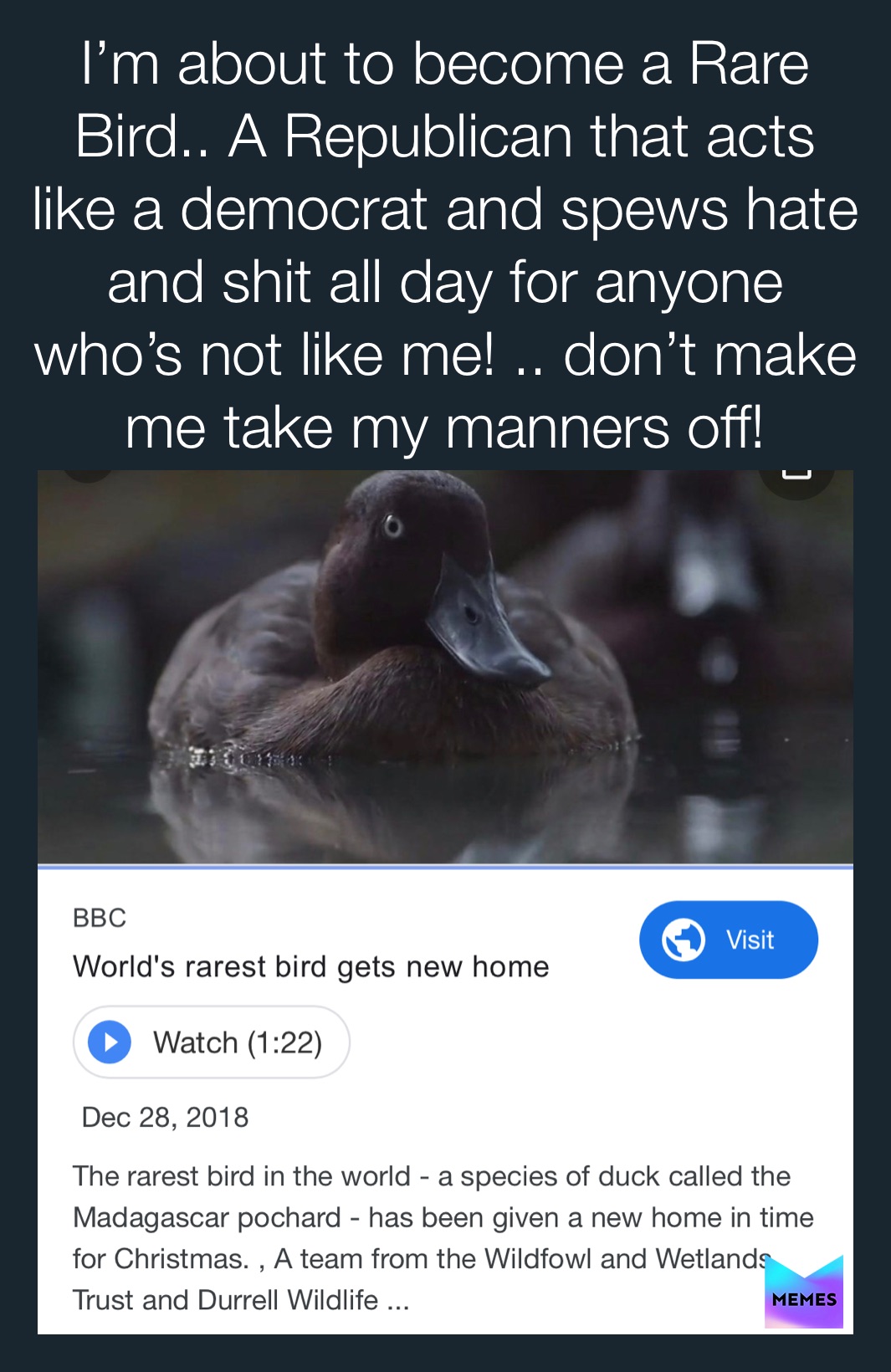 Meme by terrilynnmann