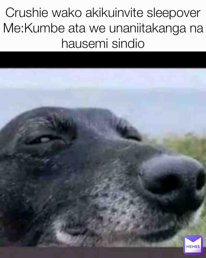 Meme preview