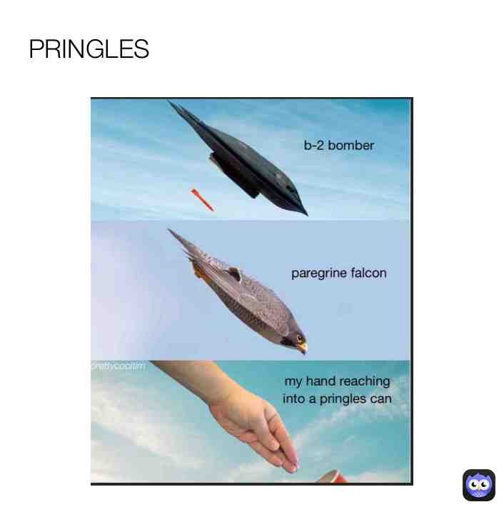 True #pringles #imdying