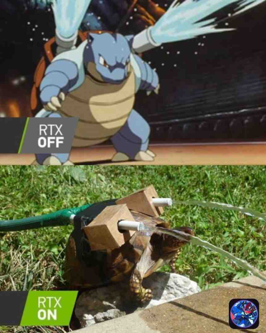 Gotta catch em all!! #pokemon #turtle #pain