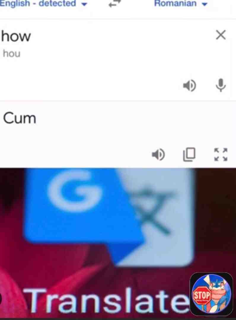 Roman ppl sus 🤨 #googletranslate #pain
