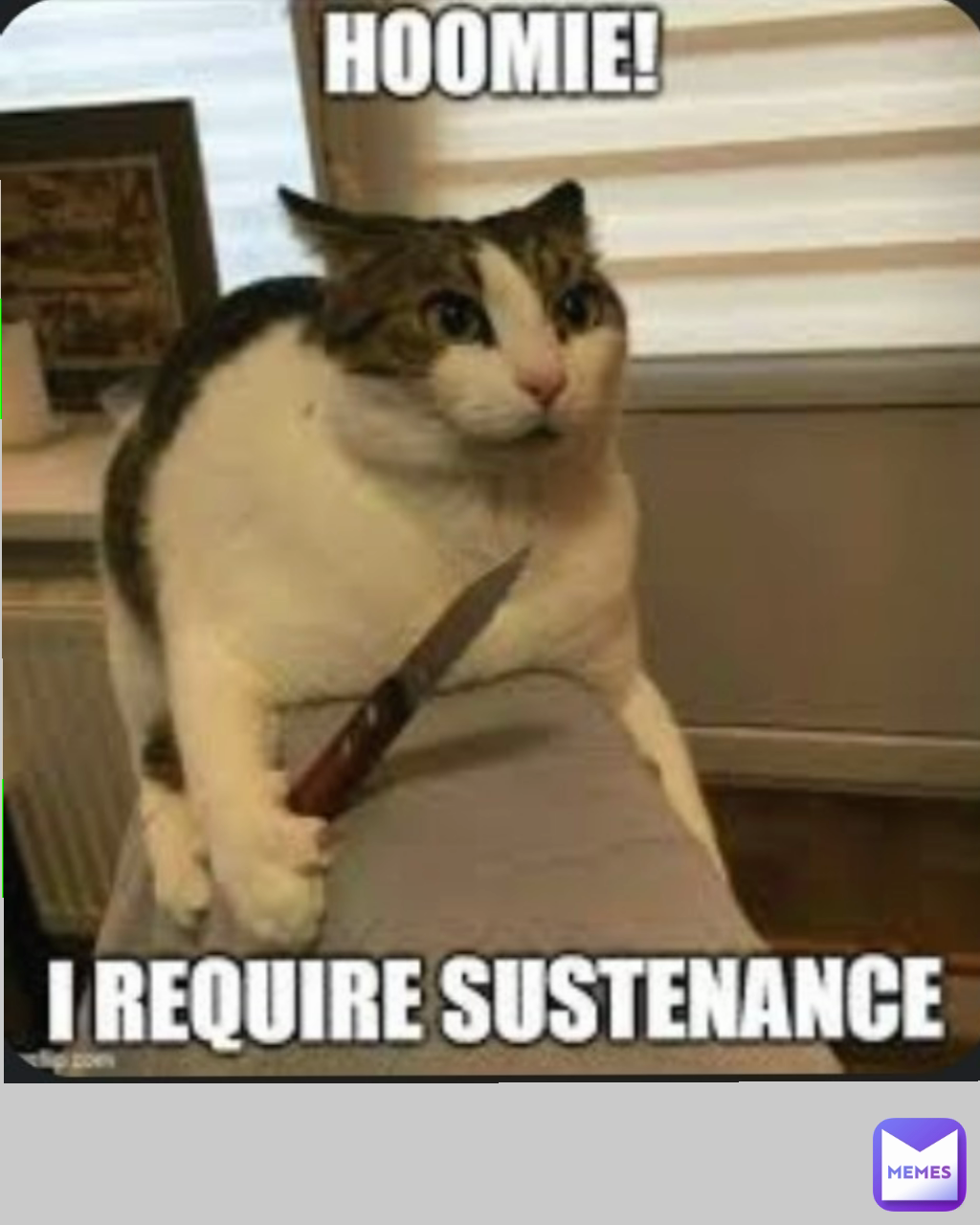 Meme by montyglamrock4