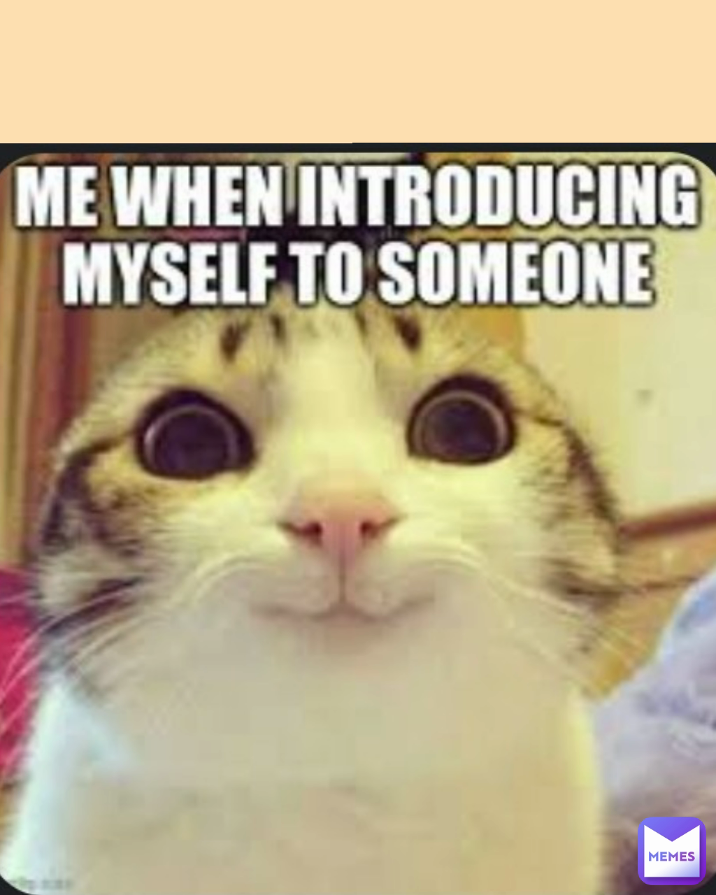 Meme by montyglamrock4