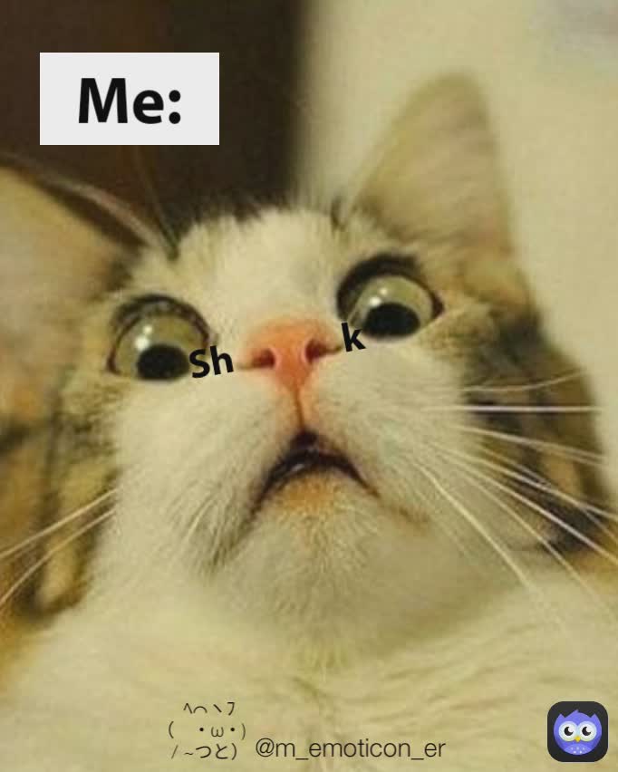 Me: Sh @m_emoticon_er    ﾍ⌒ヽﾌ
（　・ω・)
　/ ~つと） k